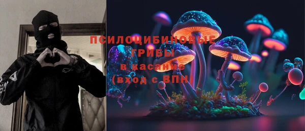 дмт Няндома