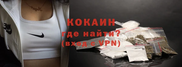 дмт Няндома