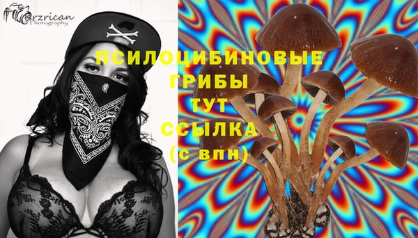 дмт Няндома