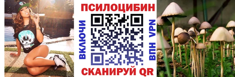 Псилоцибиновые грибы MAGIC MUSHROOMS  купить наркотики сайты  omg как зайти  Скопин 