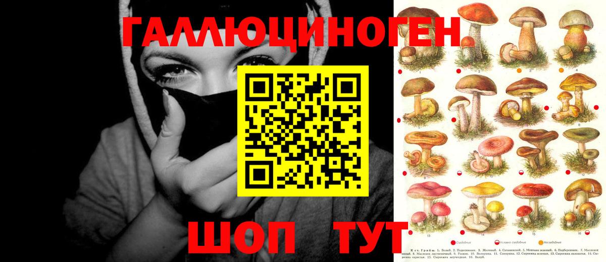 Галлюциногенные грибы Psilocybe  Галлюциногенные грибы Psilocybe  Вход с VPN  Скопин 